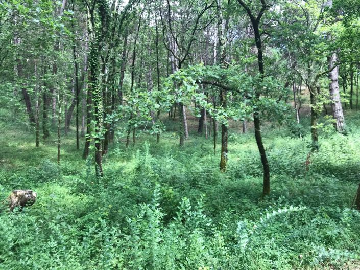 Image No.3-Land for sale