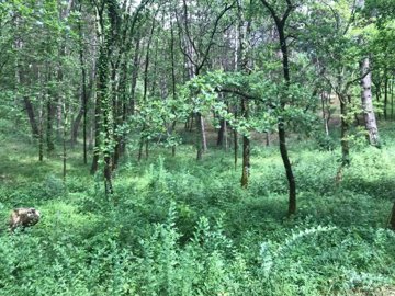 e1f4de6c29b1cc6e947904e54d62862f16e2f9bc77192