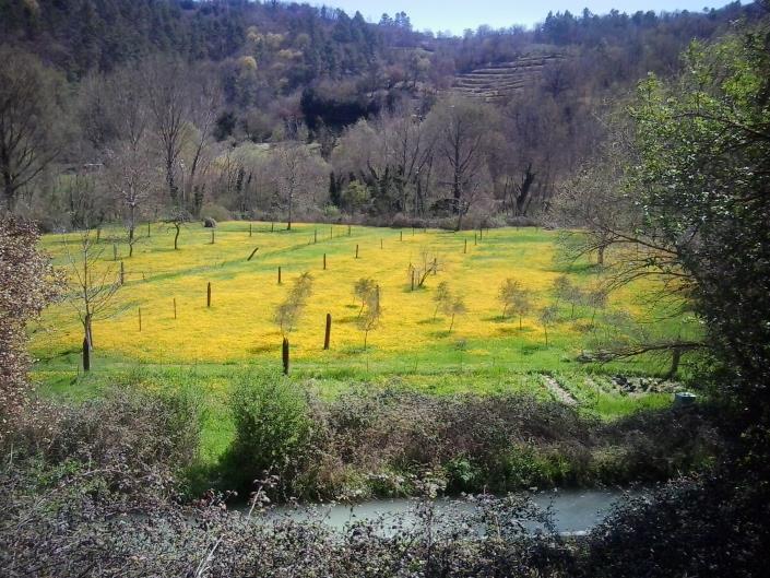 Image No.36-3 Bed House for sale