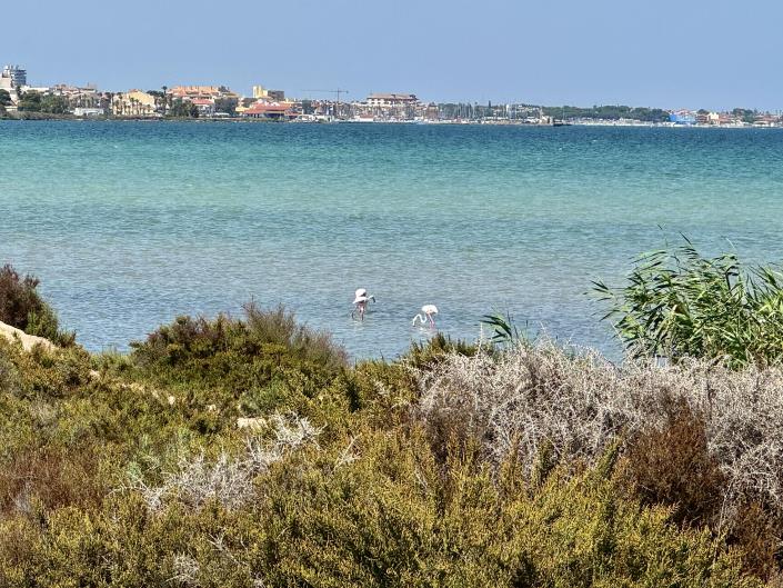 Image No.5-Maison / Villa de 4 chambres à vendre à El Carmoli