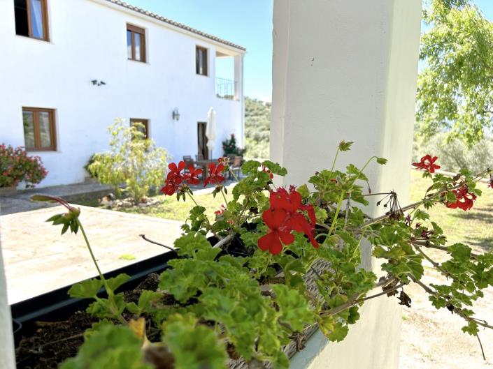 Image No.43-5 Bed Farmhouse for sale