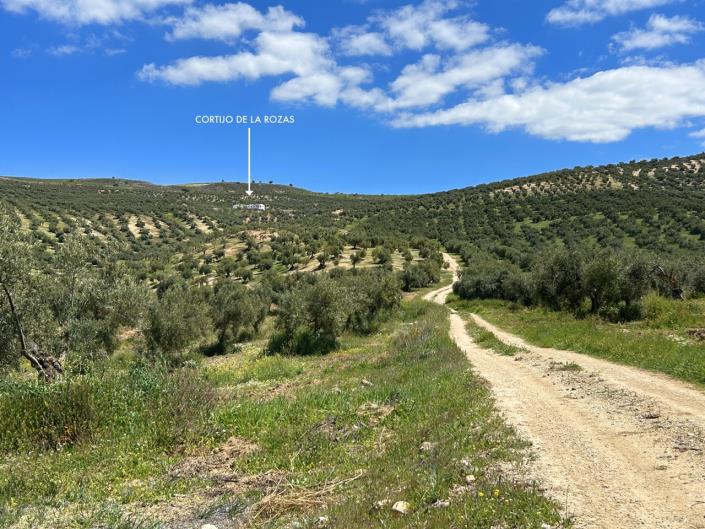 Image No.48-5 Bed Farmhouse for sale