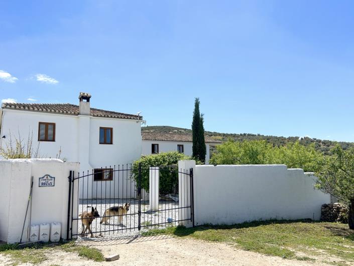 Image No.49-5 Bed Farmhouse for sale