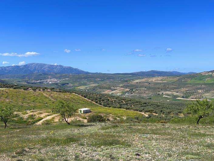 Image No.50-5 Bed Farmhouse for sale