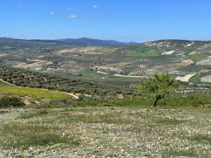 Image No.53-5 Bed Farmhouse for sale