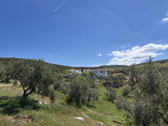 Image No.56-5 Bed Farmhouse for sale