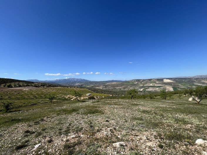 Image No.58-5 Bed Farmhouse for sale