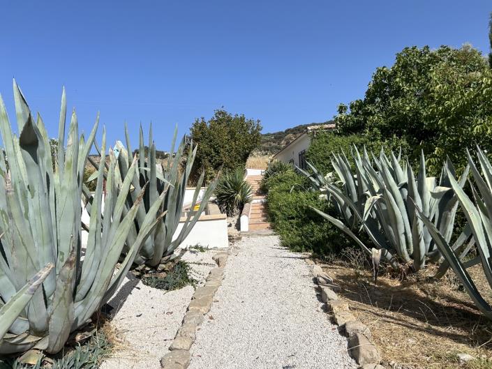 Image No.8-7 Bed Cortijo for sale