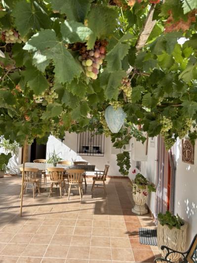 Image No.22-7 Bed Cortijo for sale