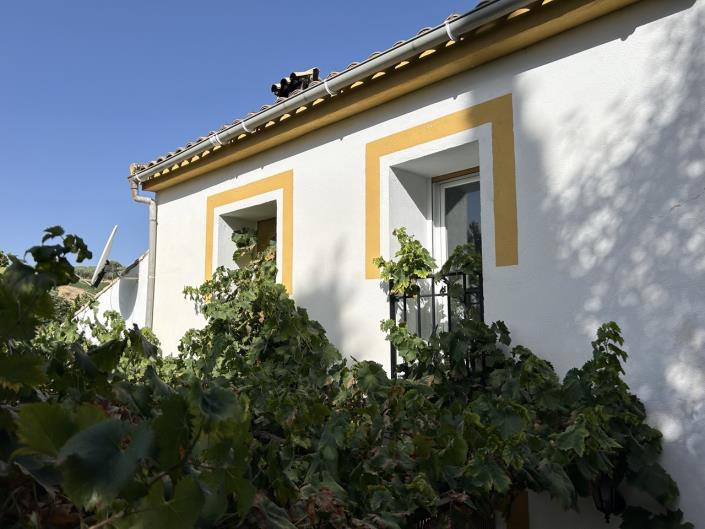 Image No.38-7 Bed Cortijo for sale