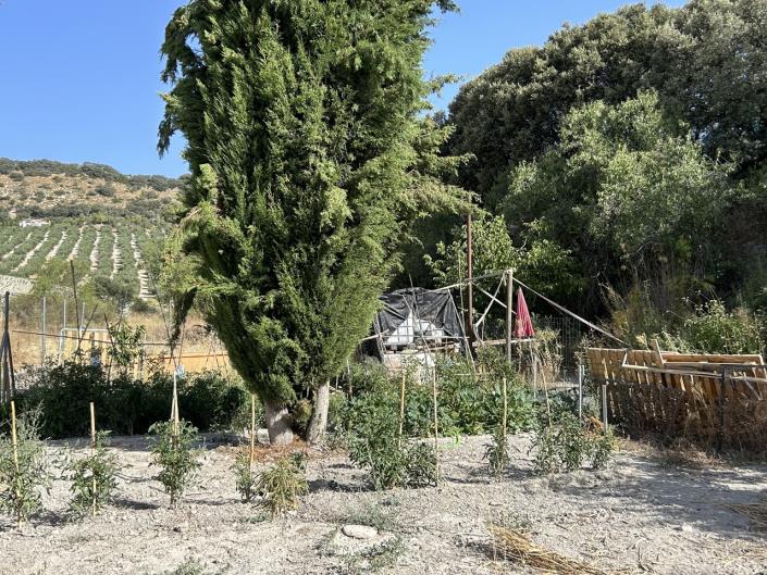 Image No.43-7 Bed Cortijo for sale