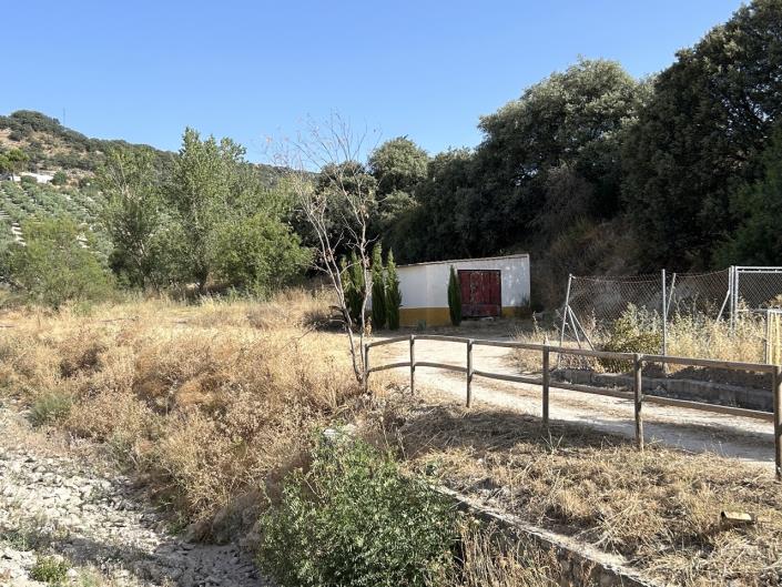 Image No.44-7 Bed Cortijo for sale