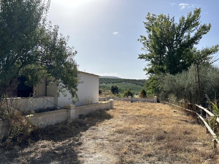 Image No.52-7 Bed Cortijo for sale