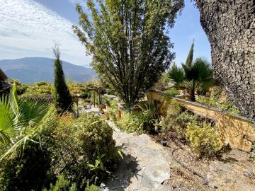 IMG_9542-2-Large