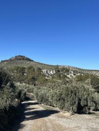 IMG_3081-Large