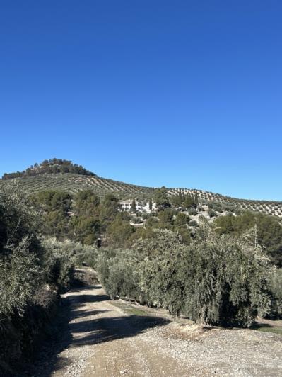 Image No.14-14 Bed Cortijo for sale