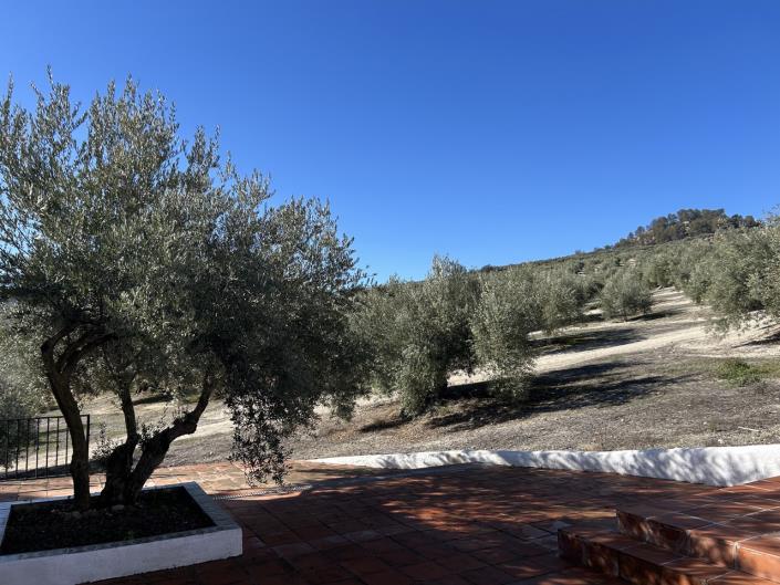Image No.59-14 Bed Cortijo for sale