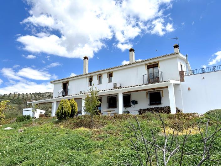 Image No.9-15 Bed Commercial for sale