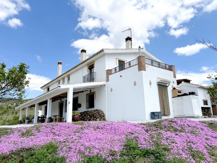 Image No.10-15 Bed Commercial for sale