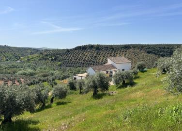 Granada Village & Country most sold property