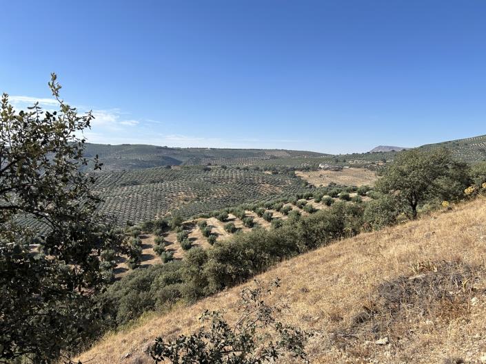 Image No.56-3 Bed Cortijo for sale