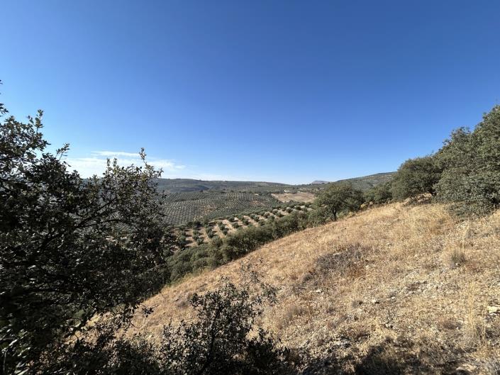 Image No.57-3 Bed Cortijo for sale