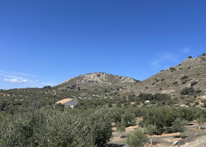 Image No.7-2 Bed Cortijo for sale