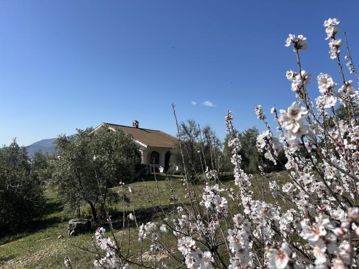 Image No.18-2 Bed Cortijo for sale