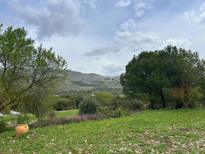 Image No.2-4 Bed Cortijo for sale