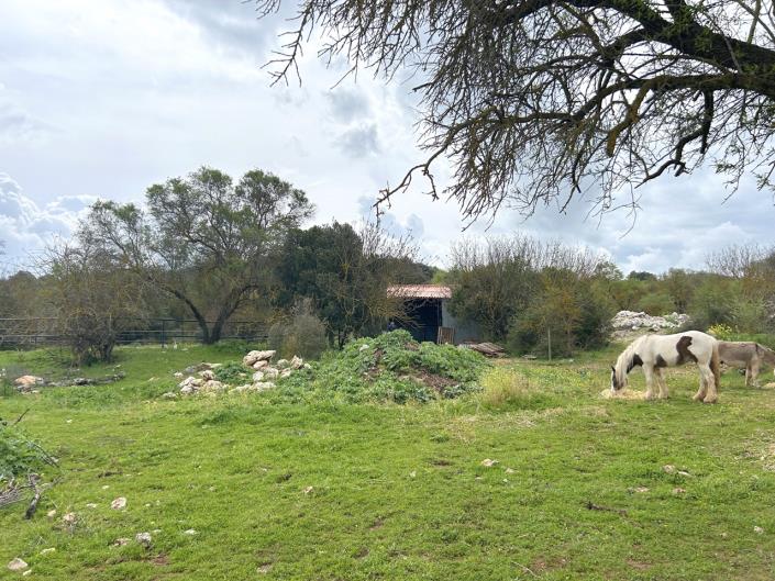 Image No.5-4 Bed Cortijo for sale