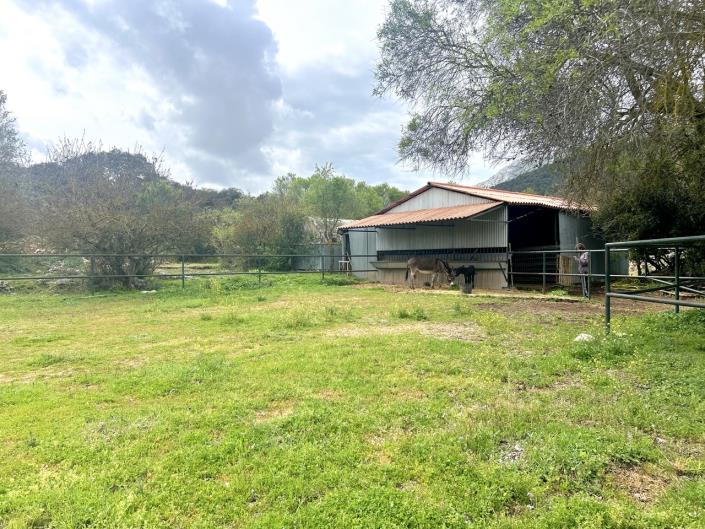 Image No.36-4 Bed Cortijo for sale