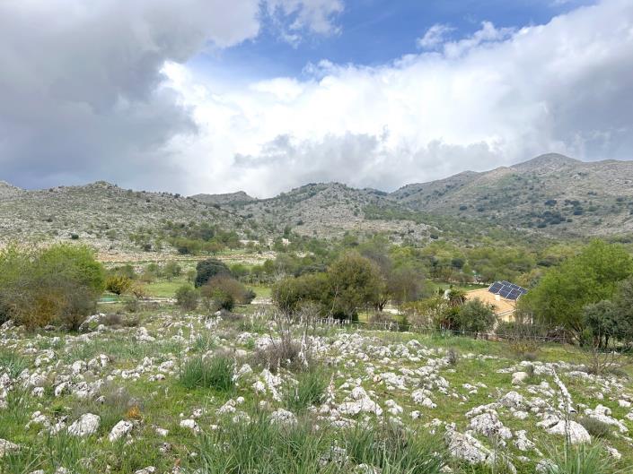 Image No.37-4 Bed Cortijo for sale