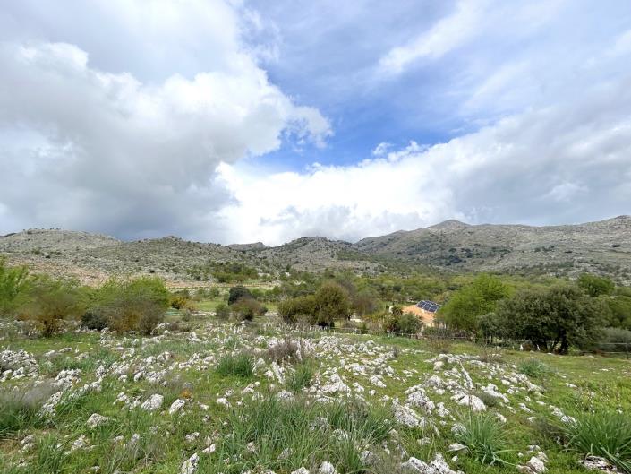 Image No.38-4 Bed Cortijo for sale