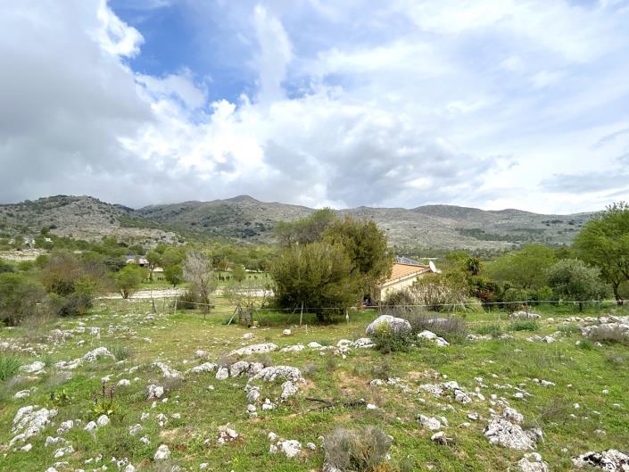 Image No.40-4 Bed Cortijo for sale