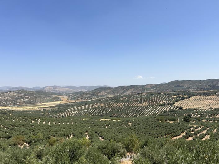 Image No.38-2 Bed Country House for sale