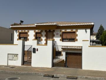 IMG_0245-Large