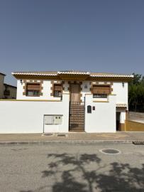 IMG_0242-Large