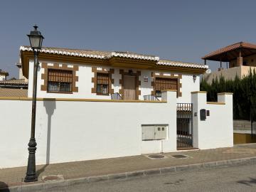 IMG_0241-Large