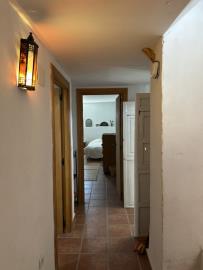 IMG_5859-2-Large