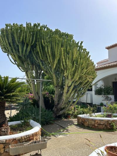 Image No.50-Villa / Détaché de 5 chambres à vendre à Castell de Ferro