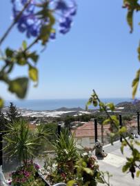 IMG_7559-Large