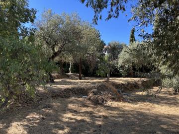 IMG_7834-Large