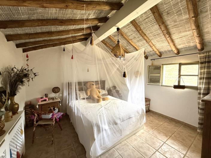 Image No.39-3 Bed Cortijo for sale
