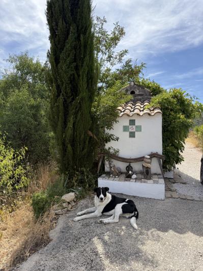 Image No.52-3 Bed Cortijo for sale