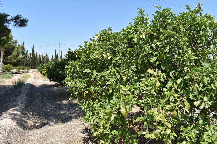 Image No.34-4 Bed Country House for sale