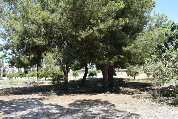 Image No.39-4 Bed Country House for sale