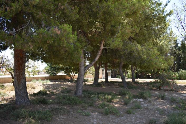 Image No.43-4 Bed Country House for sale