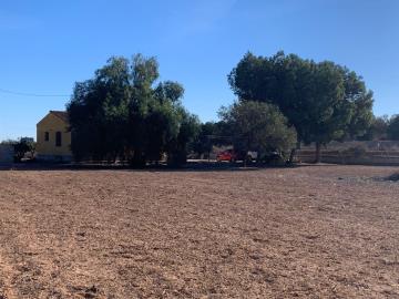 IMG-20251203-WA0009