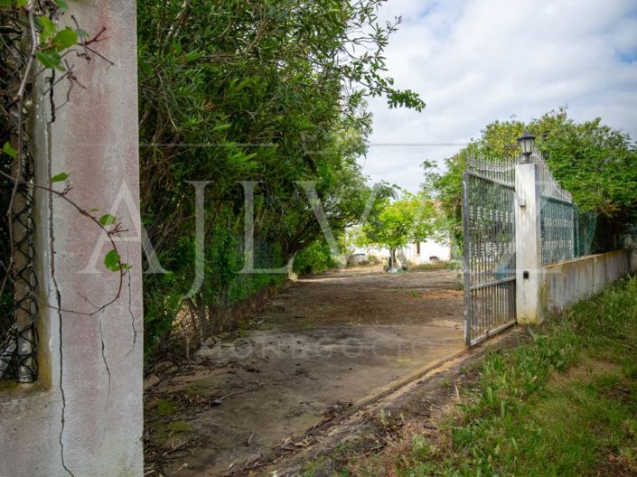 Image No.11-4 Bed House for sale