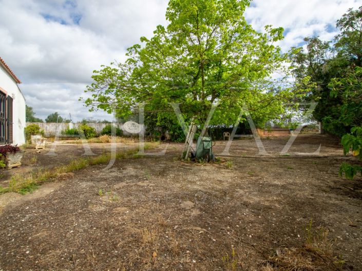 Image No.16-4 Bed House for sale